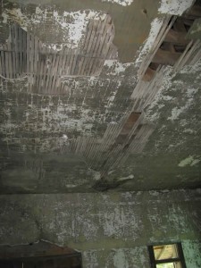 but the ceiling was still a mess of falling plaster and raccoon manure.